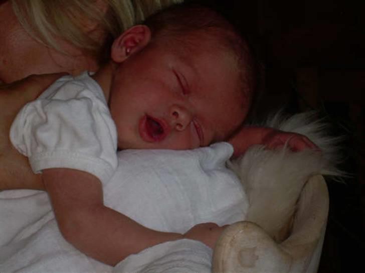 Dreng William billede 6