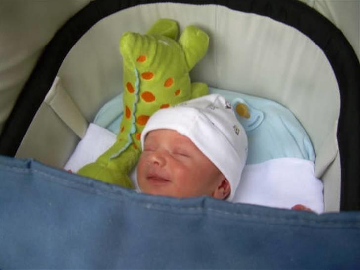 Dreng William billede 9