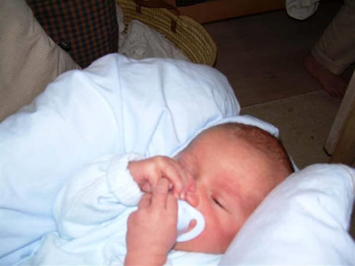 Dreng William billede 10