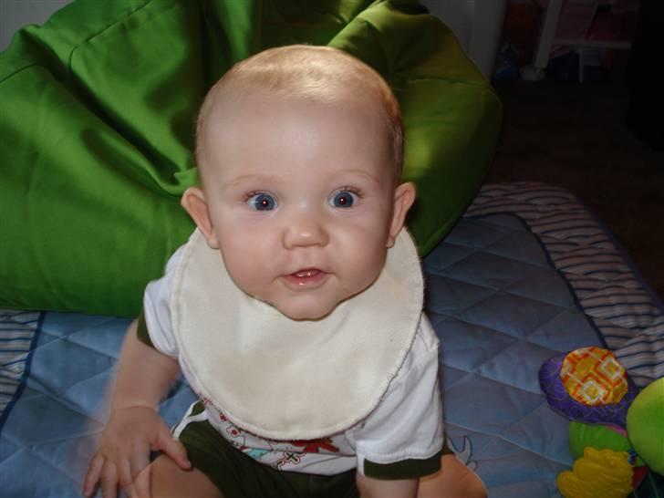Dreng Morgan - 8 mdr og fræk og nysgerrig billede 1