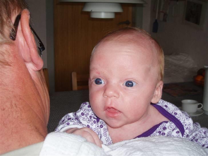 Pige Caroline billede 13