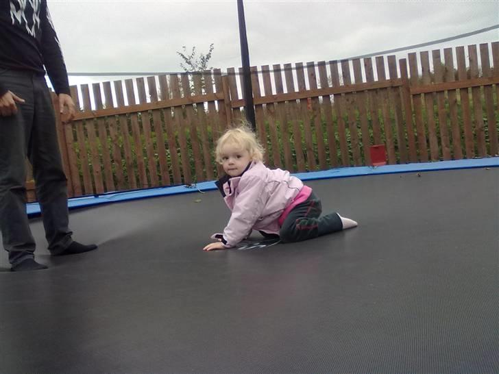 Pige Victoria Bramm Jacobsen - Toria der hopper på trampolin hos mormor :) billede 2