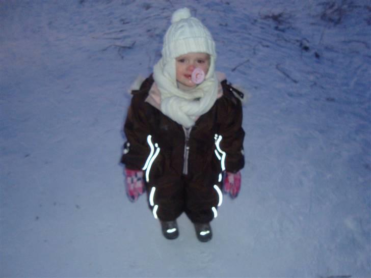 Pige Victoria Bramm Jacobsen - Toria på kælkebakken vinter 2010 billede 7