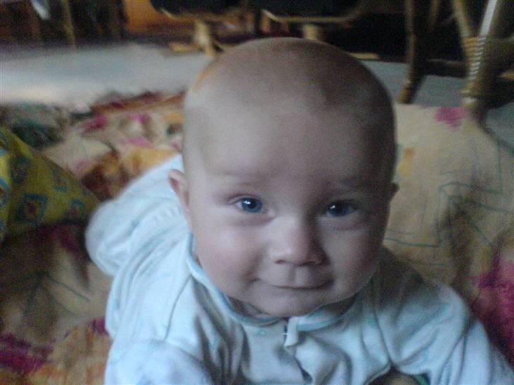 Dreng phillip billede 2