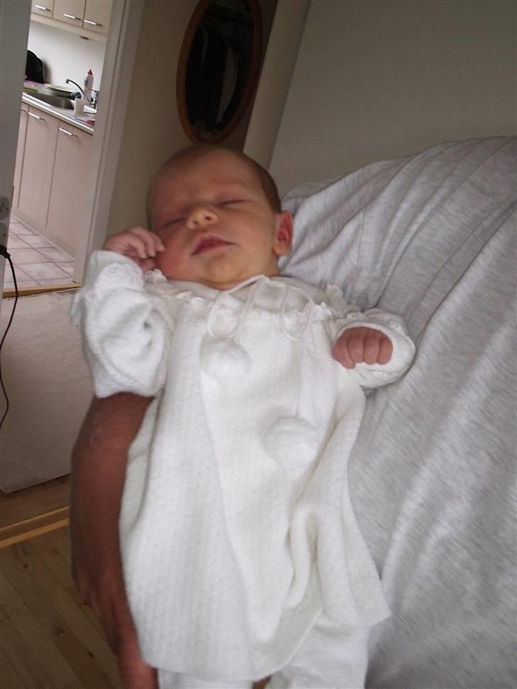 Pige Maya isabella billede 9