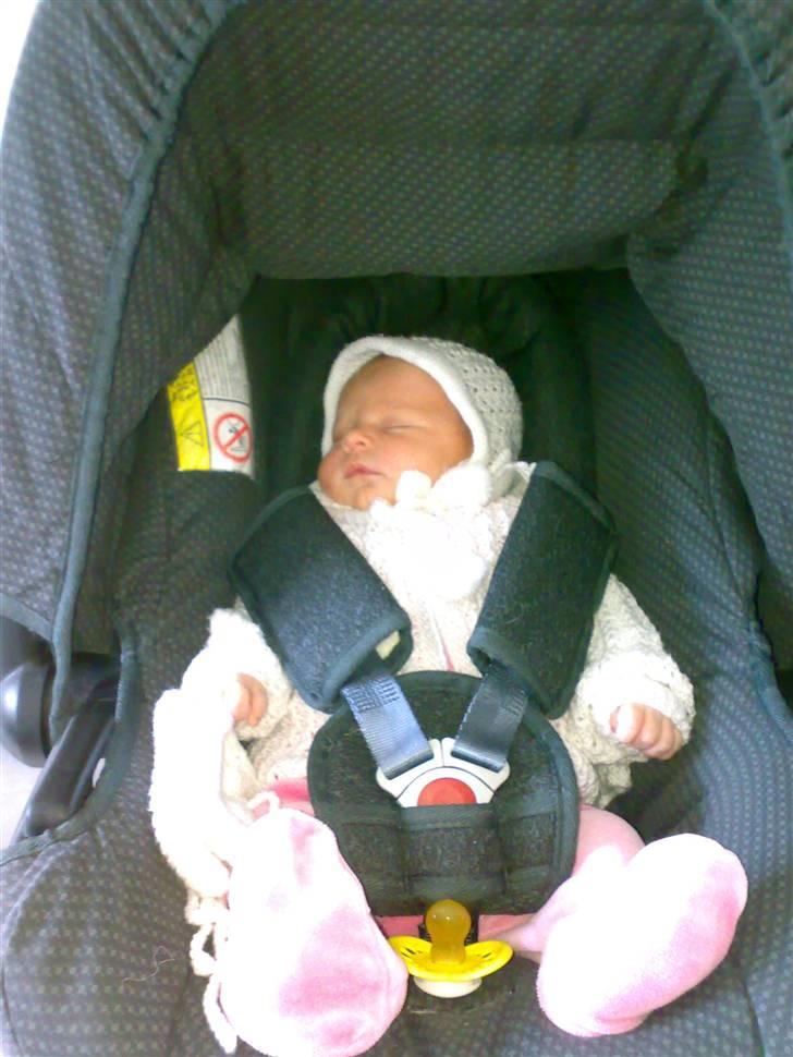 Pige Maya isabella billede 12