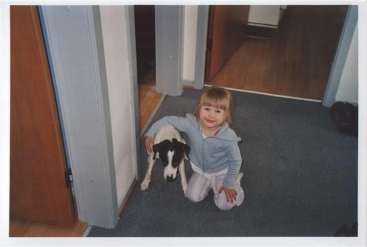 Pige Emma Jeanette Ljubic billede 4