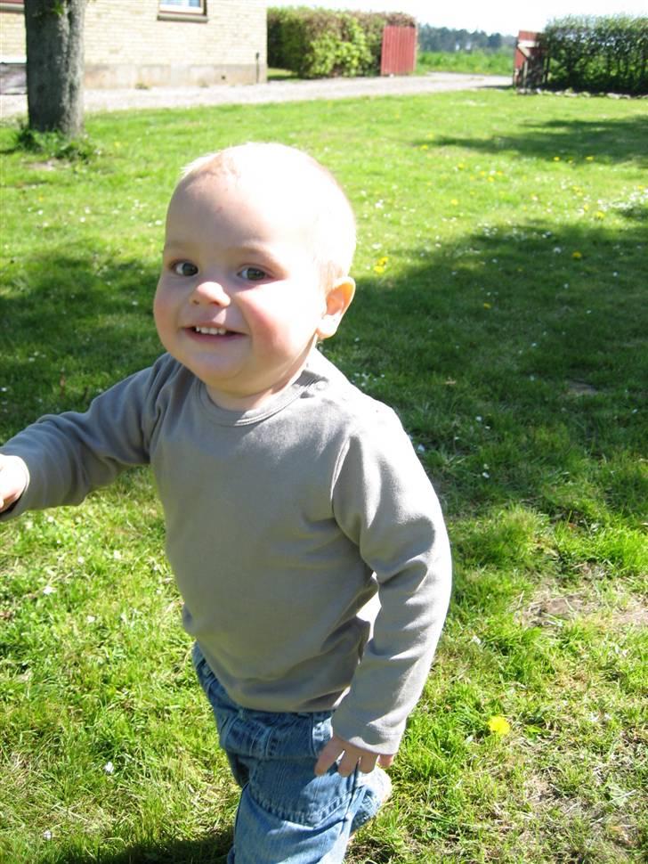 Dreng Noah lucas Bøgelund billede 9