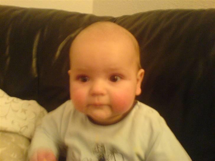 Dreng Noah lucas Bøgelund billede 17