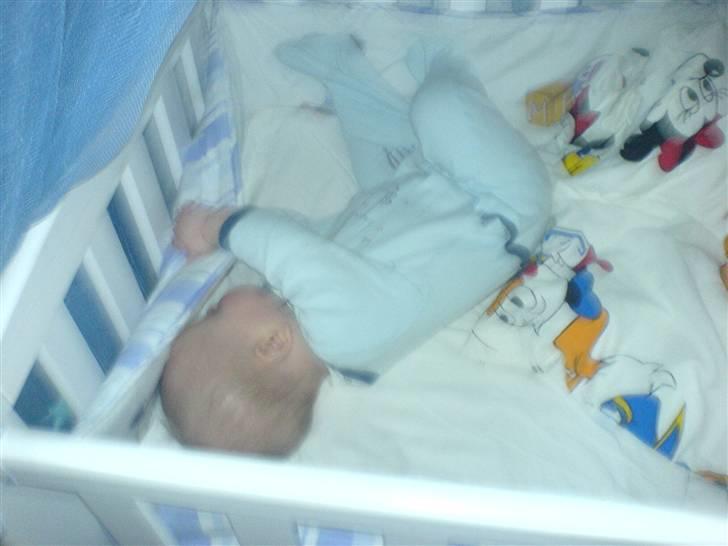 Dreng Noah lucas Bøgelund billede 18