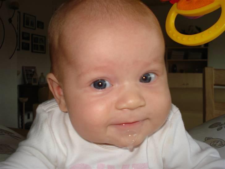 Pige Lærke billede 1