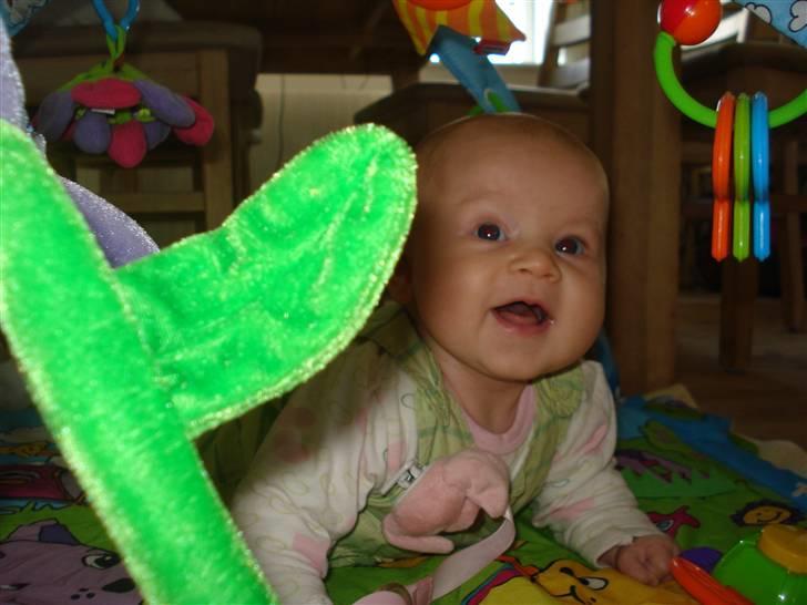 Pige Lærke billede 3