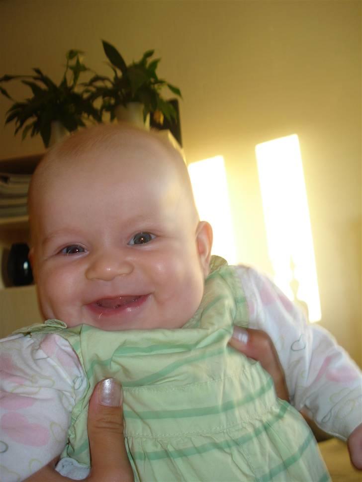 Pige Lærke billede 4