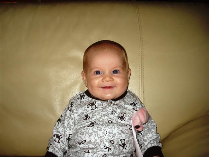 Pige Lærke billede 5