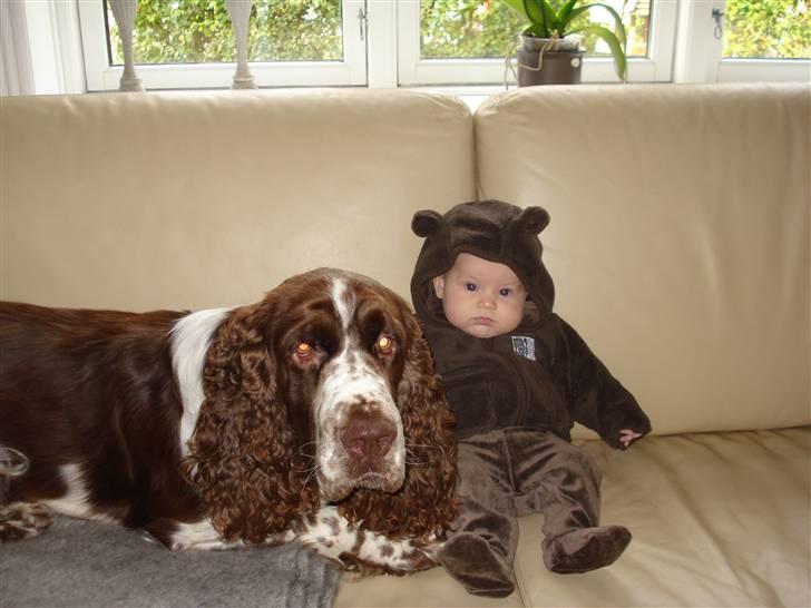 Pige Lærke billede 6