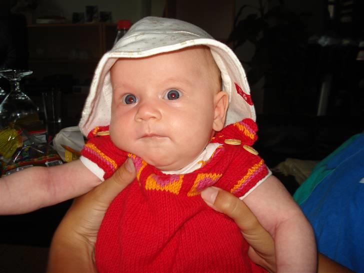 Pige Lærke billede 7