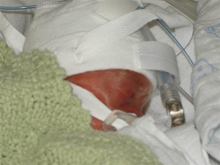 Dreng Damian billede 1