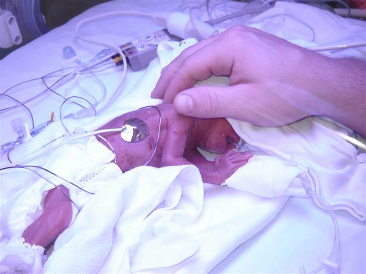 Dreng Damian billede 2