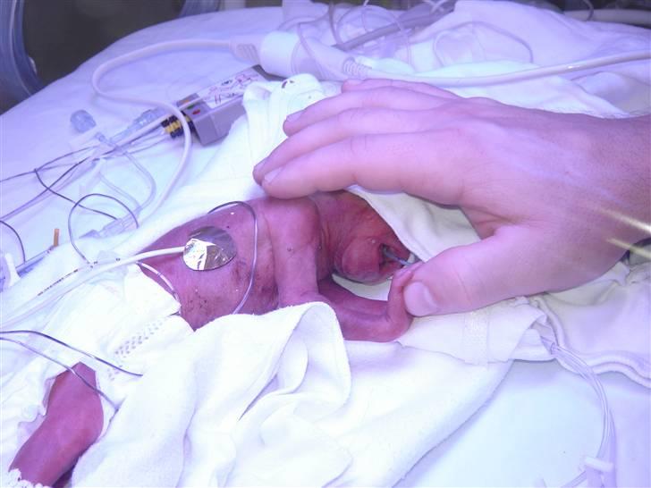 Dreng Damian billede 4