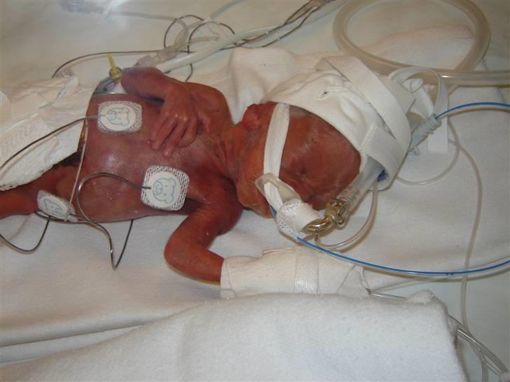 Dreng Damian billede 6