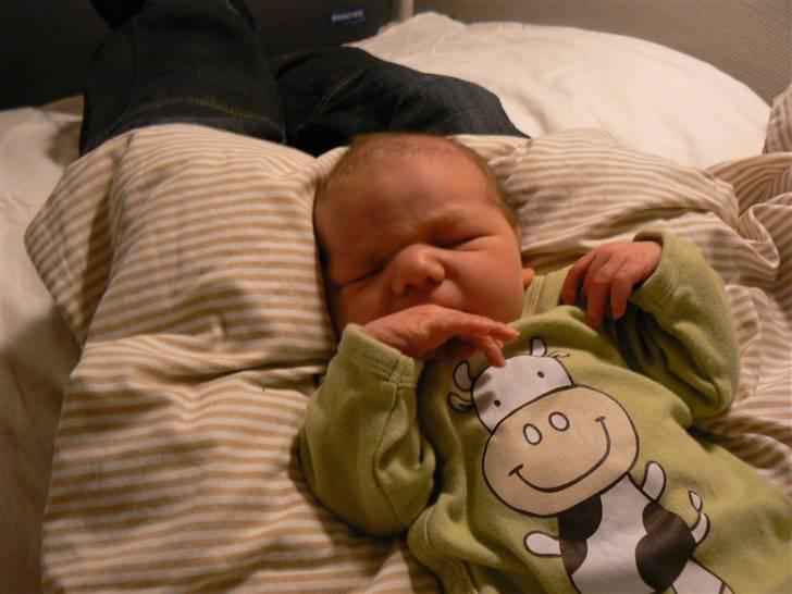 Dreng Benjamin billede 1