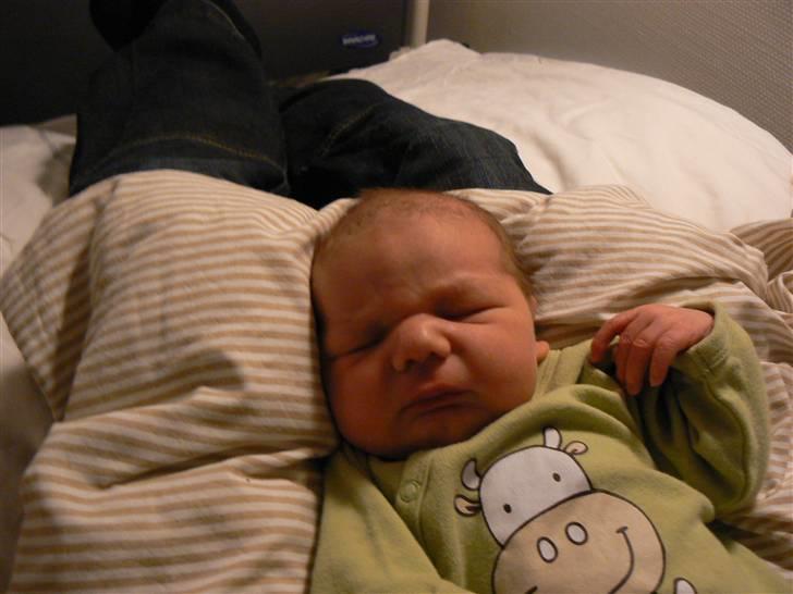 Dreng Benjamin billede 2