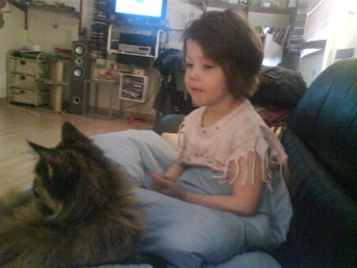 Pige jessie - min lille kat og mig  billede 3