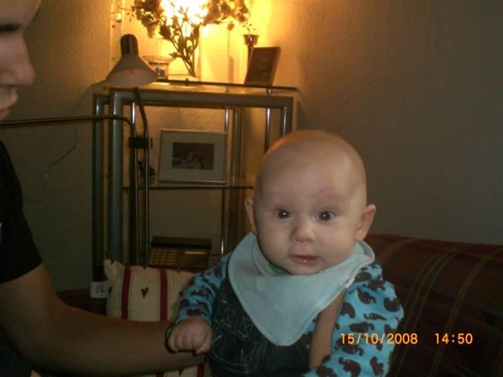 Dreng Marcus billede 13