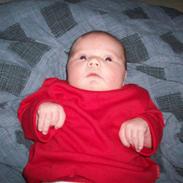 Pige Cecilie