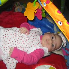 Pige isabella