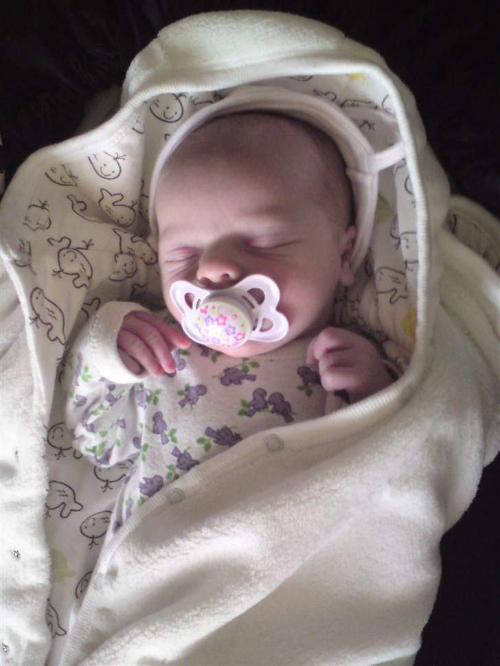 Pige Papaya Athena - 10 dage billede 19