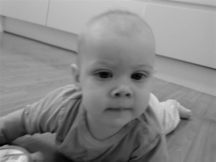Pige Josephine sofie  billede 20