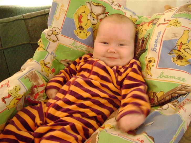 Pige Thea - jeg fik mig lige en skraber billede 4