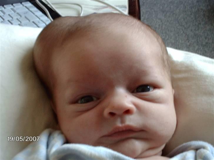 Dreng Lasse billede 6