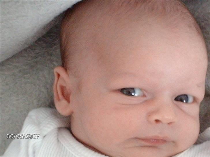 Dreng Lasse billede 7