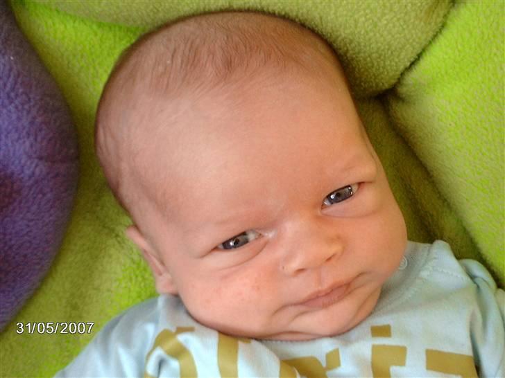 Dreng Lasse billede 8