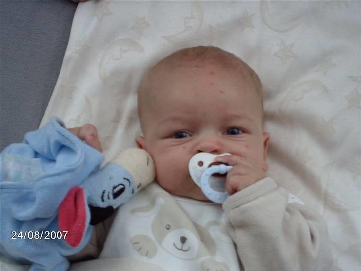 Dreng Lasse billede 10