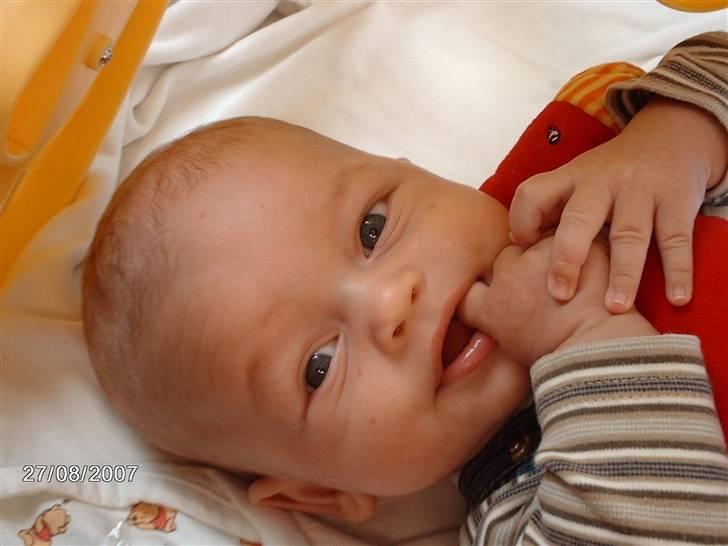 Dreng Lasse billede 12