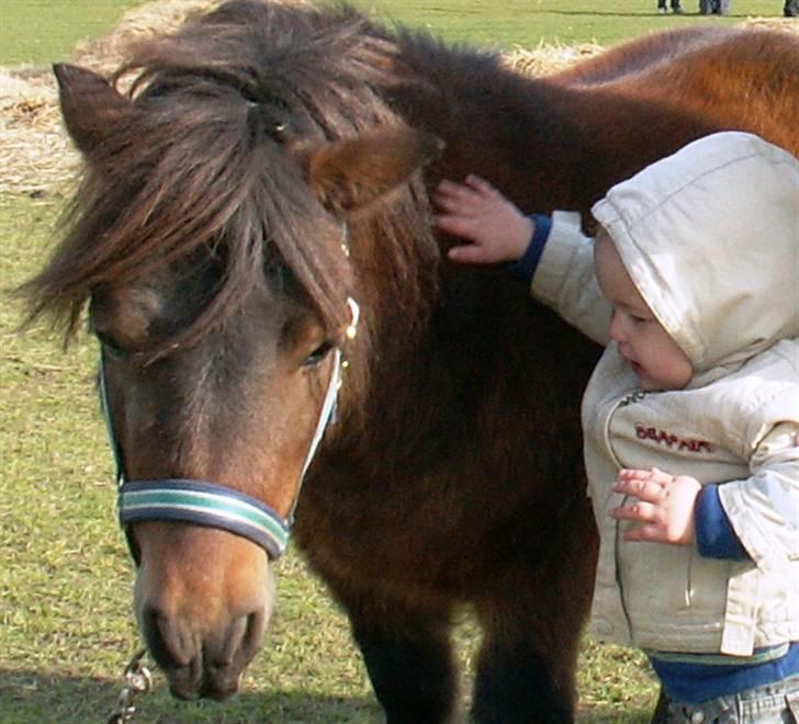 Dreng Lasse billede 18