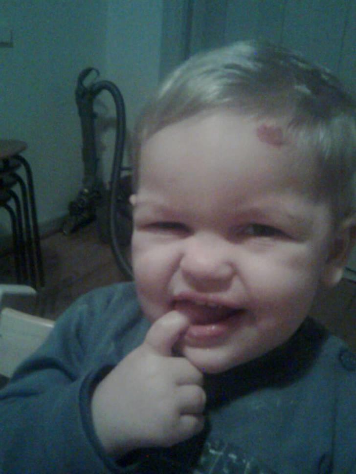 Dreng Lasse billede 20