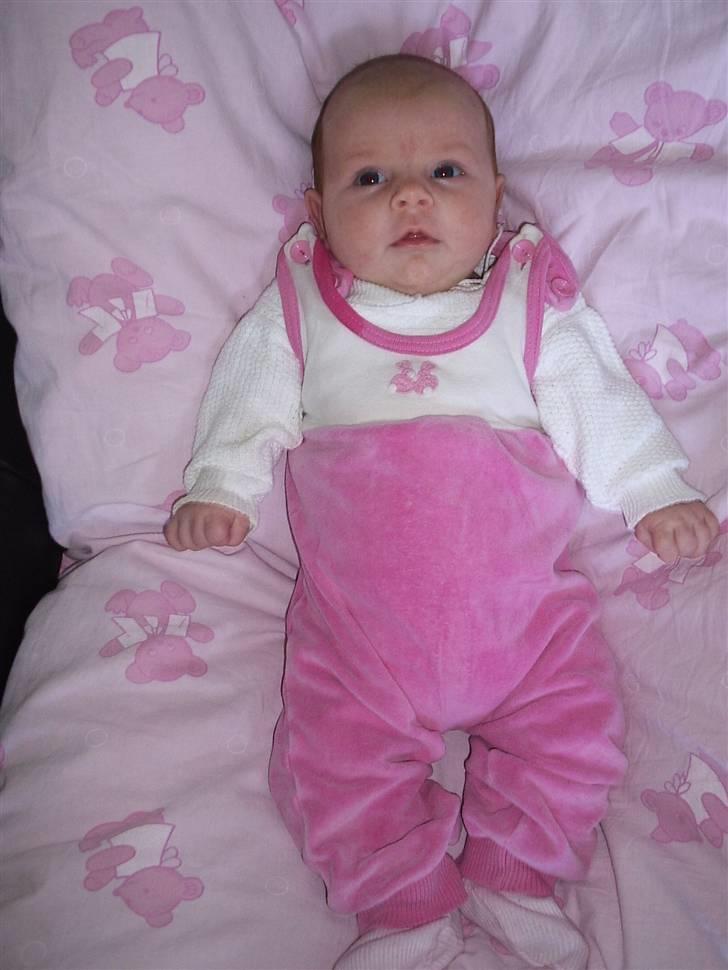 Pige Maya isabella billede 16
