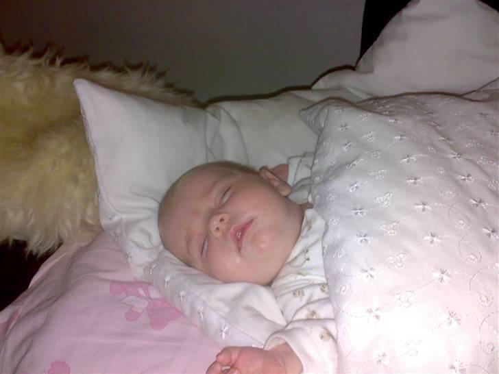 Pige Maya isabella billede 17