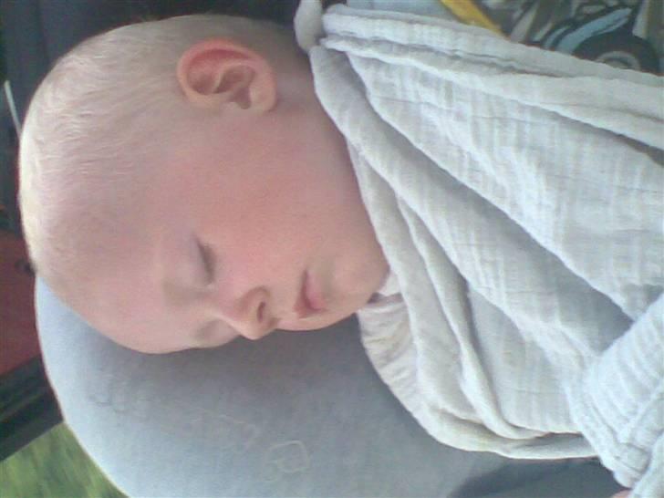 Dreng Mikkel  - Mikkel sover i bilen :) billede 19