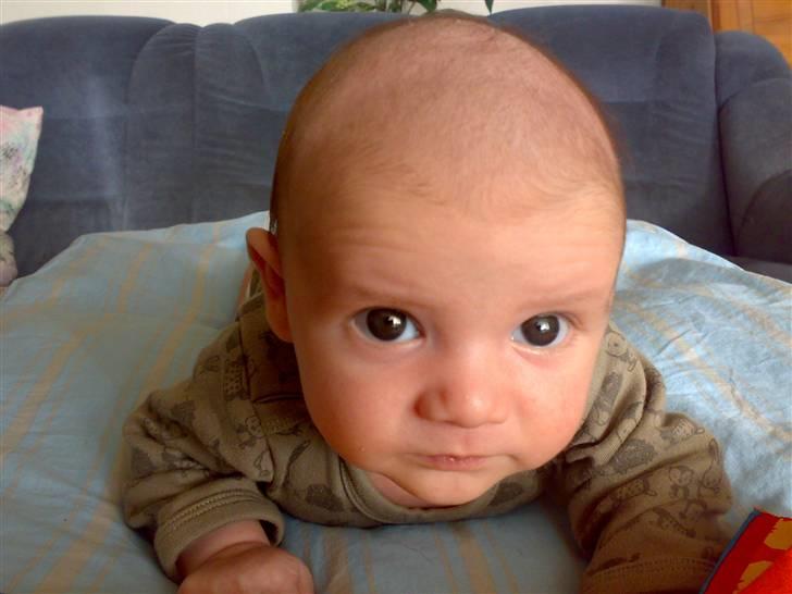 Dreng mathias billede 6