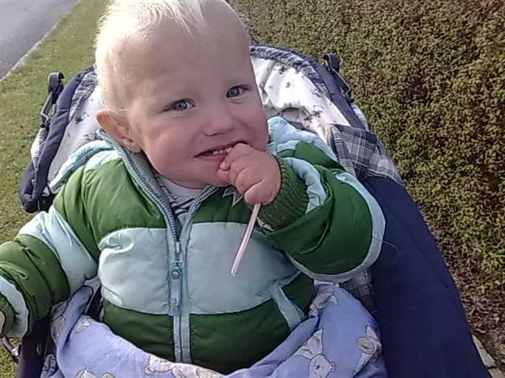 Dreng Tobias billede 15