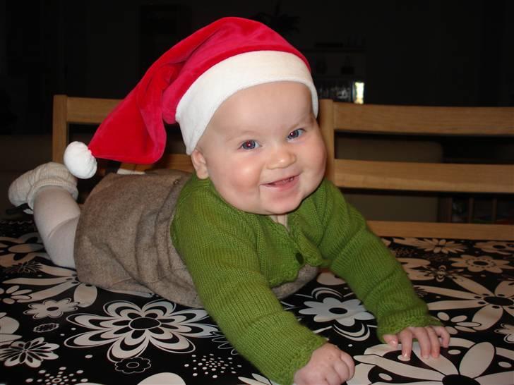 Pige Lærke billede 13