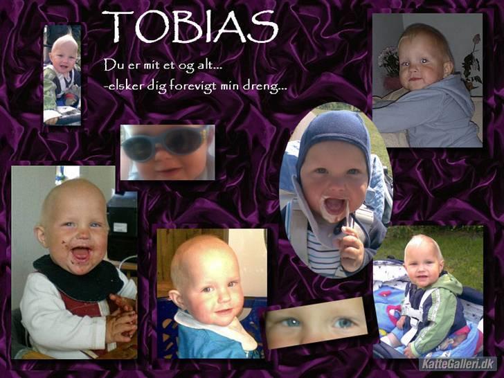 Dreng Tobias - Totalt godt billede...  billede 16