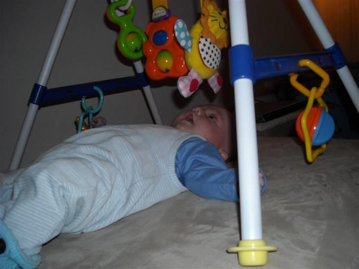 Dreng Phillip billede 3