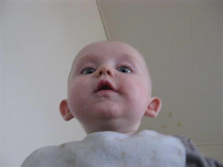 Dreng Phillip billede 4