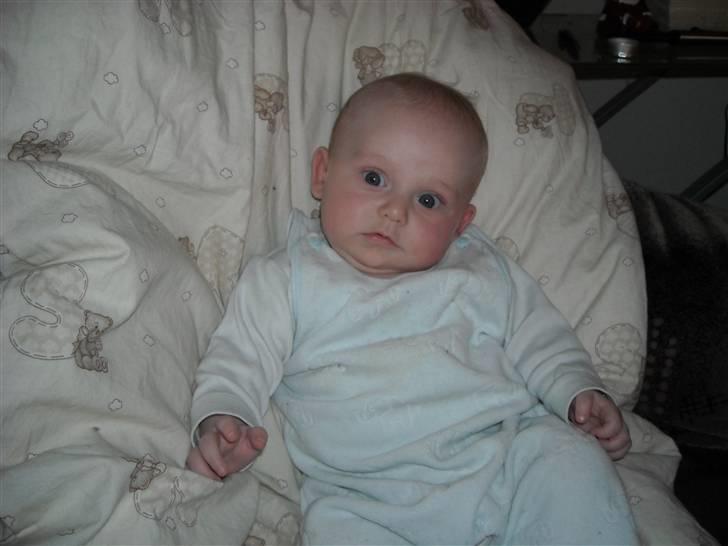 Dreng Phillip billede 6